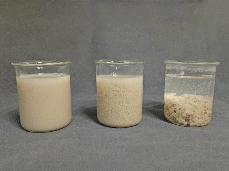 Sludge Dewatering Flocculant Polyacrylamide Cationic (3)