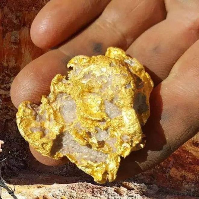 Activated Carbon For Gold Extraction
